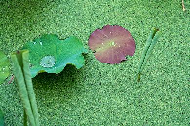 解密游戏《磨练石》Steam发售 发售特惠42元